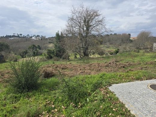 Apartment in Ranhados, Viseu