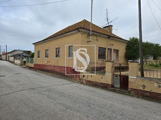 Farm in Riachos, Torres Novas