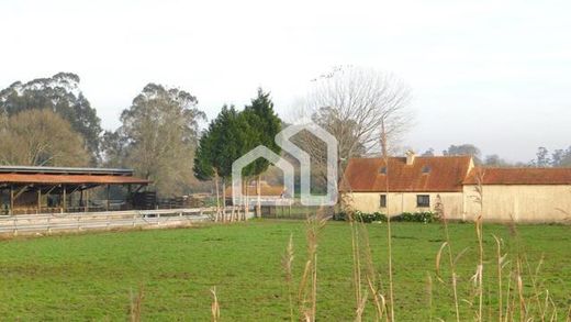 Αγροτεμάχιο σε Cacia, Aveiro