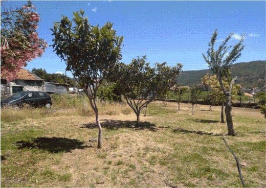 ﻣﺰﺭﻋﺔ ﻓﻲ Gondomar, Distrito do Porto