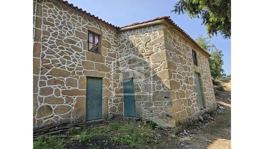 农场  Várzea de Abrunhais, Lamego