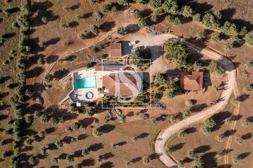 Fattoria a Cabeço de Vide, Fronteira