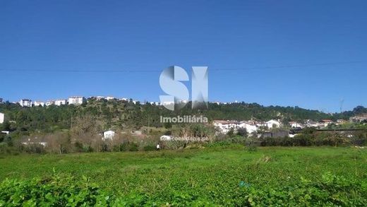 Участок, Pelariga, Pombal