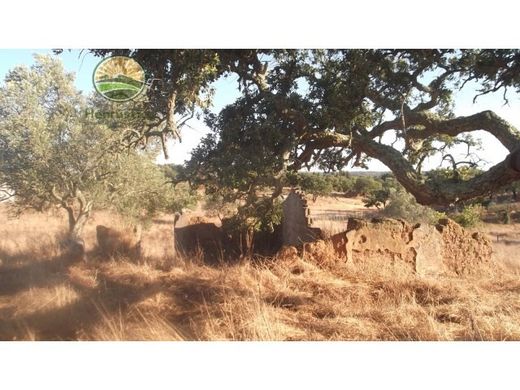 Αγροτεμάχιο σε Santa Margarida da Serra, Grândola