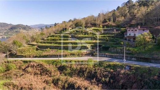 Bauernhof in Cinfães, Distrito de Viseu