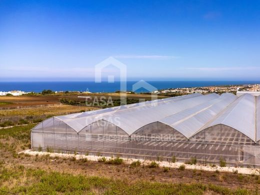 Grond in Santo Isidoro, Mafra