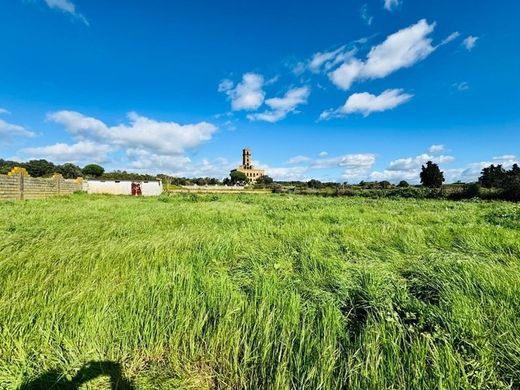 Land in Palhais, Barreiro