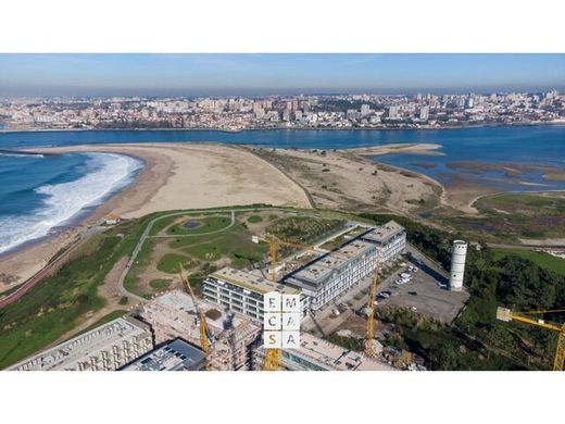 Arsa Santiago de Riba-Ul, Oliveira de Azeméis