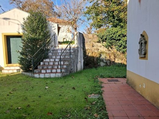 Farm in Avanca, Estarreja