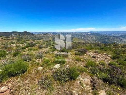 Land in Provesende, Sabrosa