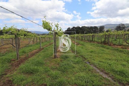 Farm in Remoães, Melgaço