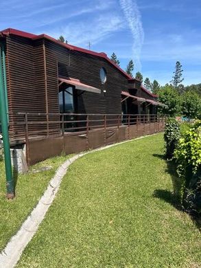 Farm in Rio de Moinhos, Penafiel