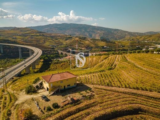 农场  Peso da Régua, Distrito de Vila Real
