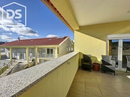 농장 / Monteiras, Castro Daire