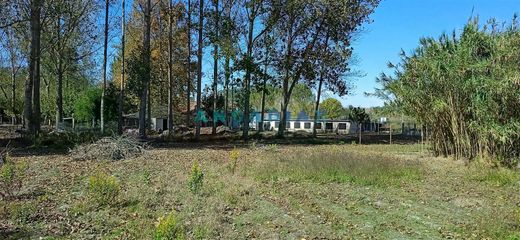 Terreno a Monte Real, Leiria