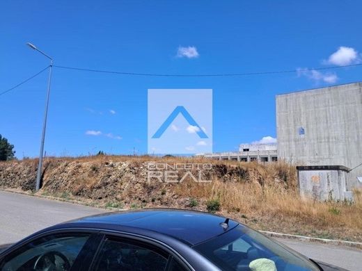 토지 / Valongo, Distrito do Porto