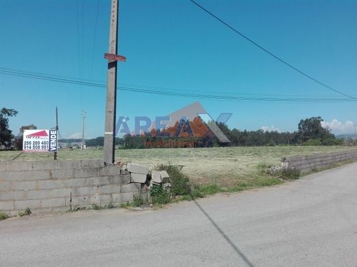 Grond in Loureiro, Oliveira de Azeméis