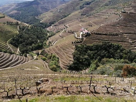 Farm in Guiães, Vila Real