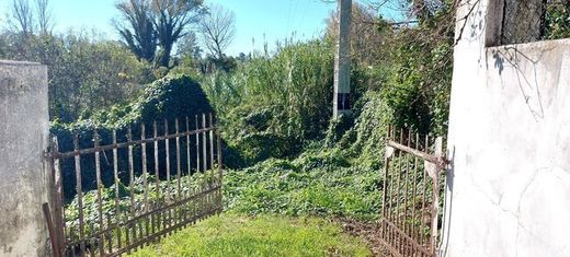 Terrain à Santa Cruz, Madère