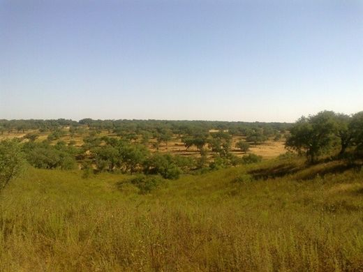 Land in Garvão, Ourique