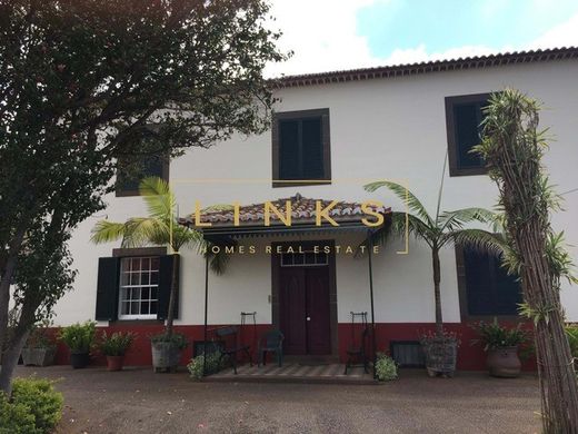 Farma w São Martinho, Funchal