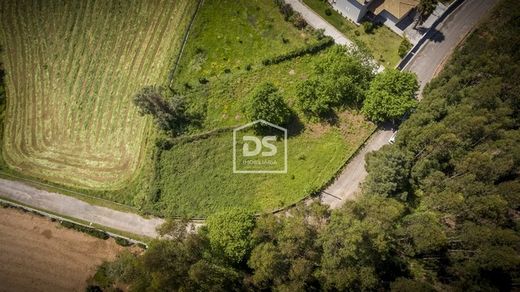 Fattoria a Luzim, Penafiel