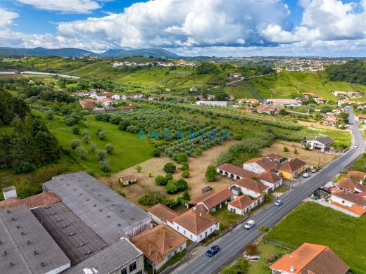 Teren w Batalha, Distrito de Leiria