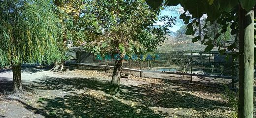 Land in Monte Real, Leiria