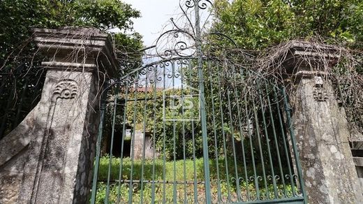 농장 / Mundão, Viseu