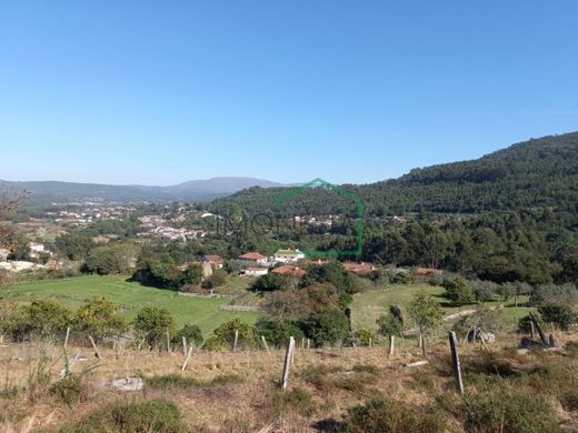 Fazenda - Vila Praia de Âncora, Caminha