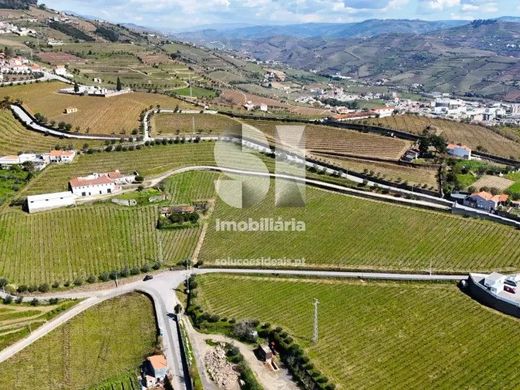 Fattoria a Fontelas, Peso da Régua