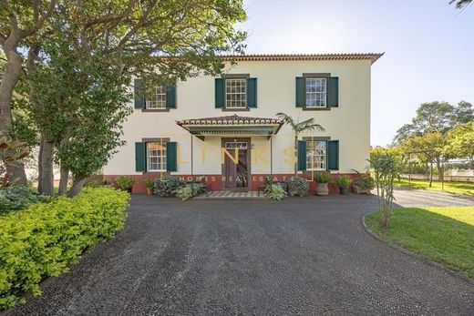 Ferme à São Martinho, Funchal
