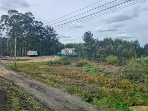 Land in Marinha Grande, Distrito de Leiria