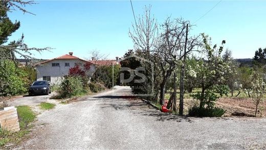 Farm in Campo, Viseu