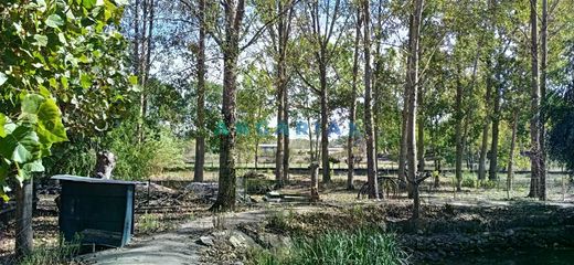 Terreno a Monte Real, Leiria