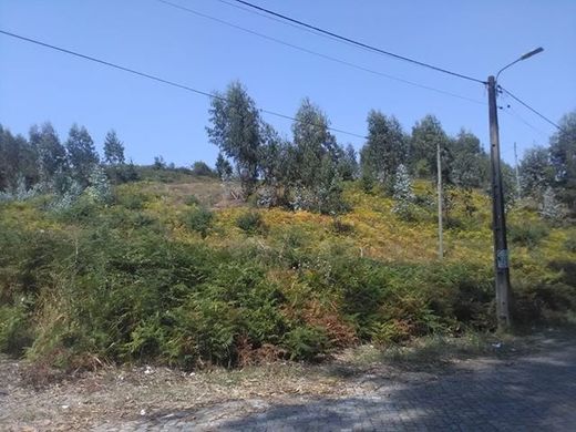 Land in Freamunde, Paços de Ferreira