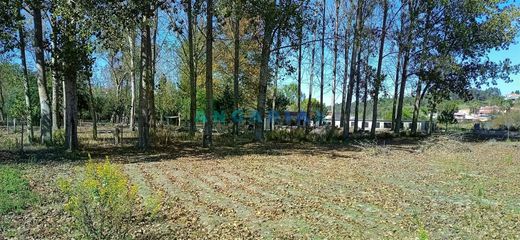 Land in Monte Real, Leiria