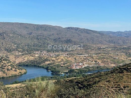 أرض ﻓﻲ Torre de Moncorvo, Distrito de Bragança