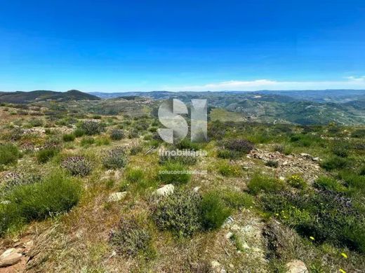 Land in Provesende, Sabrosa