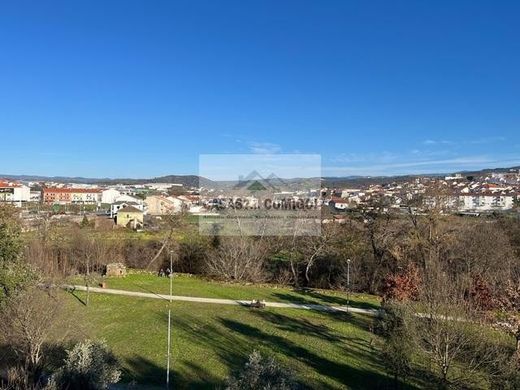 Mirandela, Distrito de Bragançaの土地