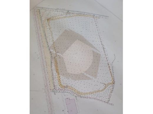 Αγροτεμάχιο σε Oliveirinha, Aveiro