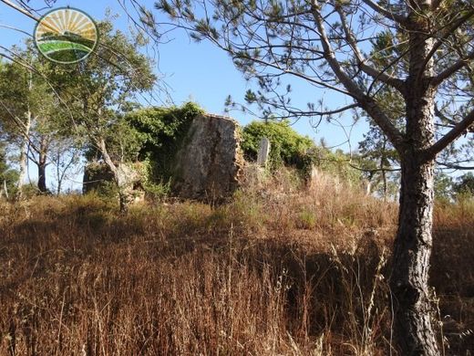 Terrain à São Luis, Odemira