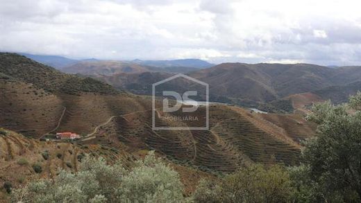 Finca en Lousa, Torre de Moncorvo