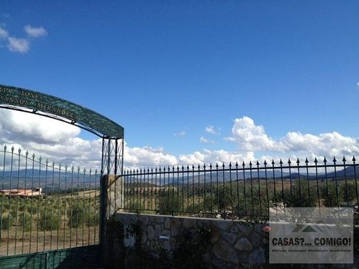 Fazenda - Mirandela, Bragança