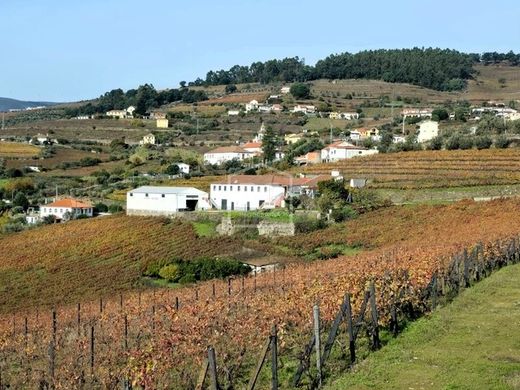 ‏חווה ב  Fontelas, Peso da Régua