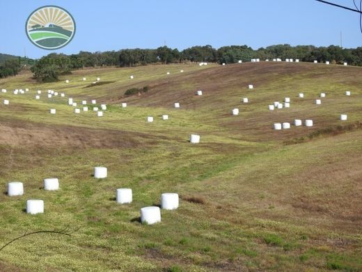 Terreno - Cercal, Santiago do Cacém