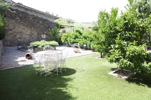 Adorigo, Tabuaçoの農園