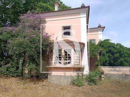 Boerderij in Tramagal, Abrantes