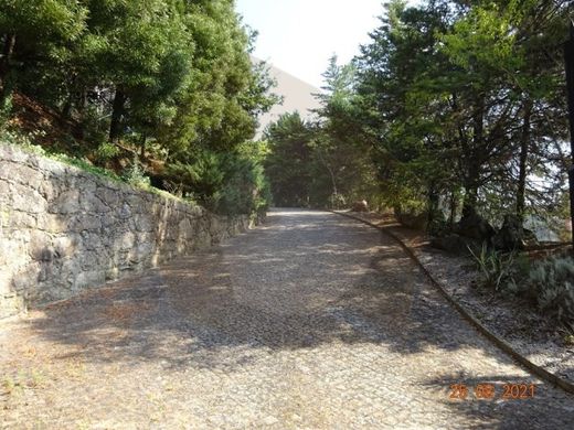 Farm in Moreira de Conegos, Guimarães