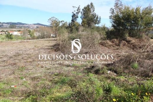 Terreno a Carvalhosa, Paços de Ferreira